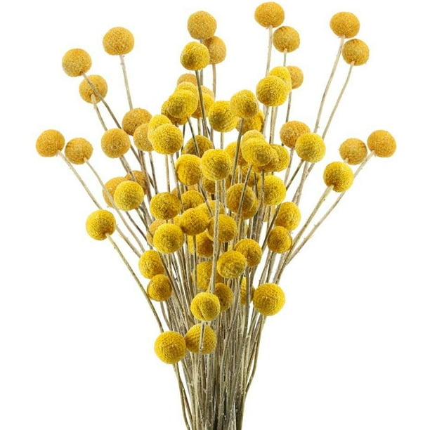 30 piezas de flores secas flores artificiales naturales reales flores artificiales flores secas para el banquete de boda decoración de la mesa accesorios de fotografía decoración amarillo 50 cm Adepaton LN-1752