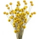 thumbnail image 1 of 30 piezas de flores secas flores artificiales naturales reales flores artificiales flores secas para el banquete de boda decoración de la mesa accesorios de fotografía decoración amarillo 50 cm Adepaton LN-1752, 1 of 6