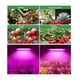 thumbnail image 2 of Plants LED Grow Lamp 500W Full Spectrum Phyto Lamp Greenhouse Growth Lighting EU Plug, 2 of 5