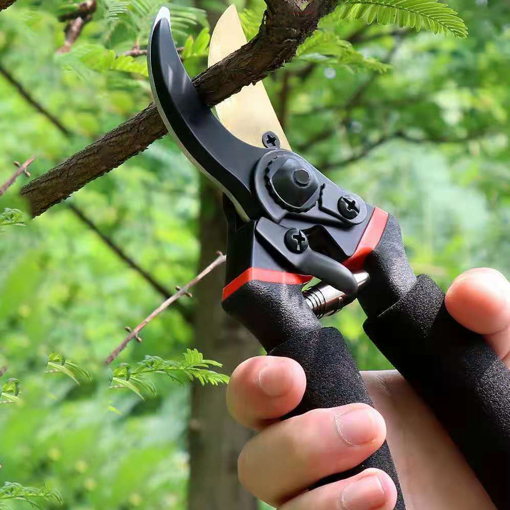  Gardening Scissors, Extendable Pruning Scissors Comfortabler  Handle Handheld for Yard : Patio, Lawn & Garden