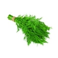 thumbnail image 3 of Dill, Dwarf Fernleaf - Herb Seeds, 3 of 4