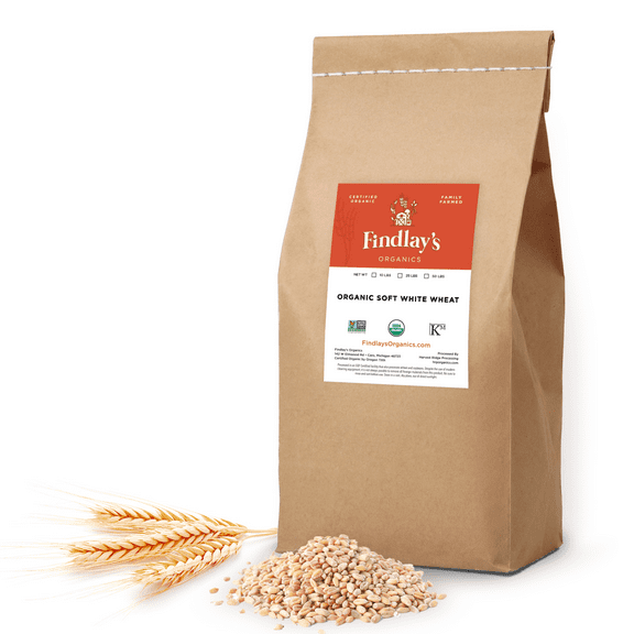 Findlay's Organics Soft White Wheat Berries // Michigan Grown, USDA Organic Certified, Non-GMO, 25 Lbs