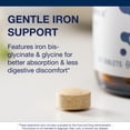 thumbnail image 3 of Metagenics Hemagenics - Iron Supplement - Non-Constipating - Vitamin B12, B6 & Folate - Supports Formation & Maintenance of Healthy Red Blood Cells* - Non-GMO, Gluten-Free & Vegetarian - 60 Tablets, 3 of 7