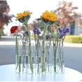 thumbnail image 4 of Hinged Flower Vase,6/8 Hinged Flower Vases Test Tube,hydroponic Plant Vase Transparent Aquatic Plant Display Holder, 4 of 5