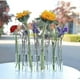 thumbnail image 4 of Hinged Flower Vase,6/8 Hinged Flower Vases Test Tube,hydroponic Plant Vase Transparent Aquatic Plant Display Holder, 4 of 5