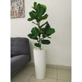 thumbnail image 5 of Jarron Maceta minimalista conica alta Green Boutique resistente para planta natural o artificial mediana, 5 of 5