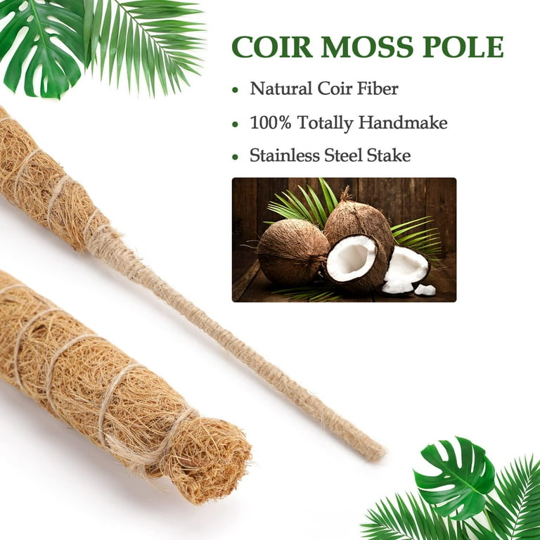 2 Pack Moss Pole for Plants Monstera, 28in Bendable Moss Pole for Climbing  Plants, Monstera Moss Pole, Bendable Plant Support for Indoor Plants and  Outdoor Plants, Small Moss Pole for Potted Plants –