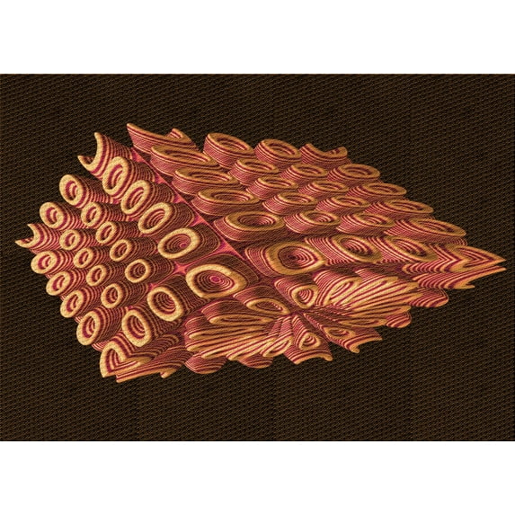 Ahgly Company Machine Washable Indoor Rectangle Transitional Mahogany Brown Area Rugs, 5' x 8'