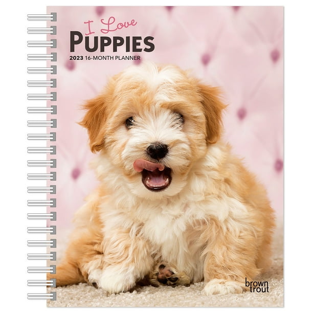 I Love Puppies | 2023 6x7.75" Wire-O Engagement Planner Calendar