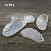 Sinkoo 50 Pcs Pearlized Abalone Seashell, 1.6"-2.5", White Pearl Donkey Ear Abalone Shells for DIY Crafts, Arts and Home Decor