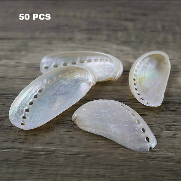 Sinkoo 50 Pcs Pearlized Abalone Seashell, 1.6"-2.5", White Pearl Donkey Ear Abalone Shells for DIY Crafts, Arts and Home Decor
