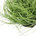 thumbnail image 3 of Phenofice 1Pack High Simulation Technology Grass Tuft for Train Layout Light Green, 3 of 8