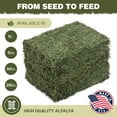 High Desert Alfalfa Hay Dried Natural Alfalfa Hay for Rabbits, Guinea