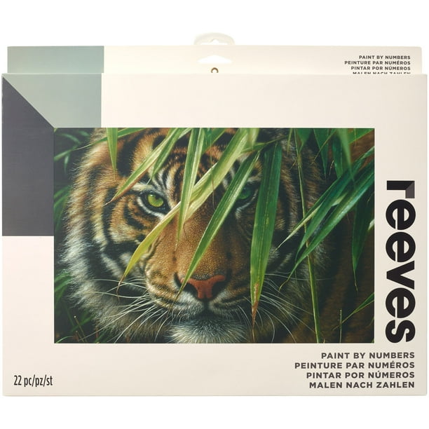 Peinture par Numéro Kit Collection d'Artiste 12"X16"-Tiger