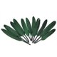thumbnail image 4 of 50 piezas de plumas de ganso teñidas perfectas para la fabricación de joyas/decoración de disfraces, etc. 4-6" Macarena Pluma de ganso, 4 of 8