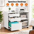 thumbnail image 2 of 3-Drawer Rolling File Cabinet with Large Open Storage Shelves, Lateral Mobile Printer Stand for Home Office, White-Wash Finish, 30.7" L x 15.2" W, 2 of 8