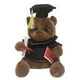 thumbnail image 1 of 1pc 18cm Cute Graduate Dr. Bear Plush Toy Stuffed Teddy Bear Kawaii Toys For Kid Funny Graduation Gift For Baby Home Decorate, 1 of 3