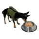 thumbnail image 2 of Pechera Tactica P/perros Y Gatos, Razas Pequeñas Ajustable, 2 of 8