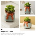 thumbnail image 3 of Ceramic Succulent Planter Succulent Plant Pot Ceramic Flower Planting Holder, 3 of 6
