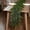 5Ft, variant on 5 FT Real Touch Norfolk Pine Garland Green Artificial Christmas Garland Faux Greenery Garland for Holiday Fireplace Mantle Window Indoor Outdoor Decor