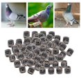 thumbnail image 4 of Qualitchoice 100Pcs 2022 Aluminium Dove Racing Pigeon Foot Rings Bands Rings Reusable 8mm White, 4 of 9