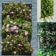thumbnail image 4 of Gosear, bolsas de plantación verticales colgantes montadas en la pared, maceta de cultivo verde con 36 bolsillos para pared del hogar, balcón, jardín, suministro negro Ormromra WL-00482-1, 4 of 7
