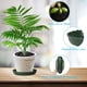thumbnail image 5 of Platillos Para Plantas, 5 Uds., Bandejas Redondas De Plástico Para Platos De Plantas, Protección De Superficie Reutilizable, Bandejas De Goteo Para Macetas Muyoka Hogar, 5 of 7