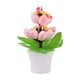 thumbnail image 2 of Easter Eggs Decoration Mini Indoor Potted Ornaments Holiday Theme Home Decoration Add Festive And Ideal Gift Choice, 2 of 6
