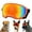 D, variant on EcoVerve Dog Goggles For Golden And Other Medium To Large Dogs Dog Pet Sunglasses Ski Goggles Style Dog Eyewear