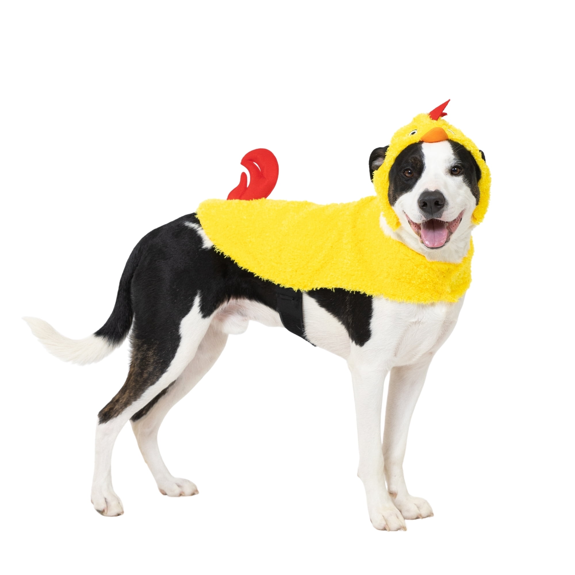 Vibrant Life Halloween Chicken Costume for Dogs, Yellow and Red, M