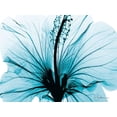 thumbnail image 2 of Koetsier, Albert 18x15 Black Ornate Wood Framed with Double Matting Museum Art Print Titled - Aqua Hibiscus, 2 of 4
