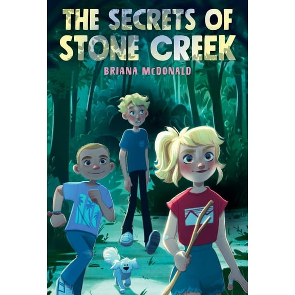 The Secrets of Stone Creek (Paperback)