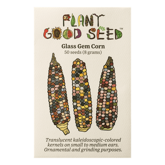 Plant Good Seed Company Glass Gem Corn Seeds, Certified Organic Open Pollinated Seeds, 50 Seeds