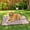 Brown, variant on Cooling Pet Mat for Dogs and Cats, XL 100x75cm Summer Ice Silk Pad, Durable Plastic Cooling Bed for Pets Up to 60lbs, Indoor Outdoor Sofa Mat, Easy Clean Portable Pet Sleeping Mat for Hot Weather