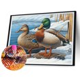 thumbnail image 2 of Pintura de diamante 5D DIY completo redondo taladro pato Kit decoración del hogar arte artesanal FLhrweasw Nuevo, 2 of 9