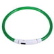 thumbnail image 1 of Collar LED para perro, recargable por USB, brillante, para seguridad nocturna, 50 cm (verde), 1 of 7