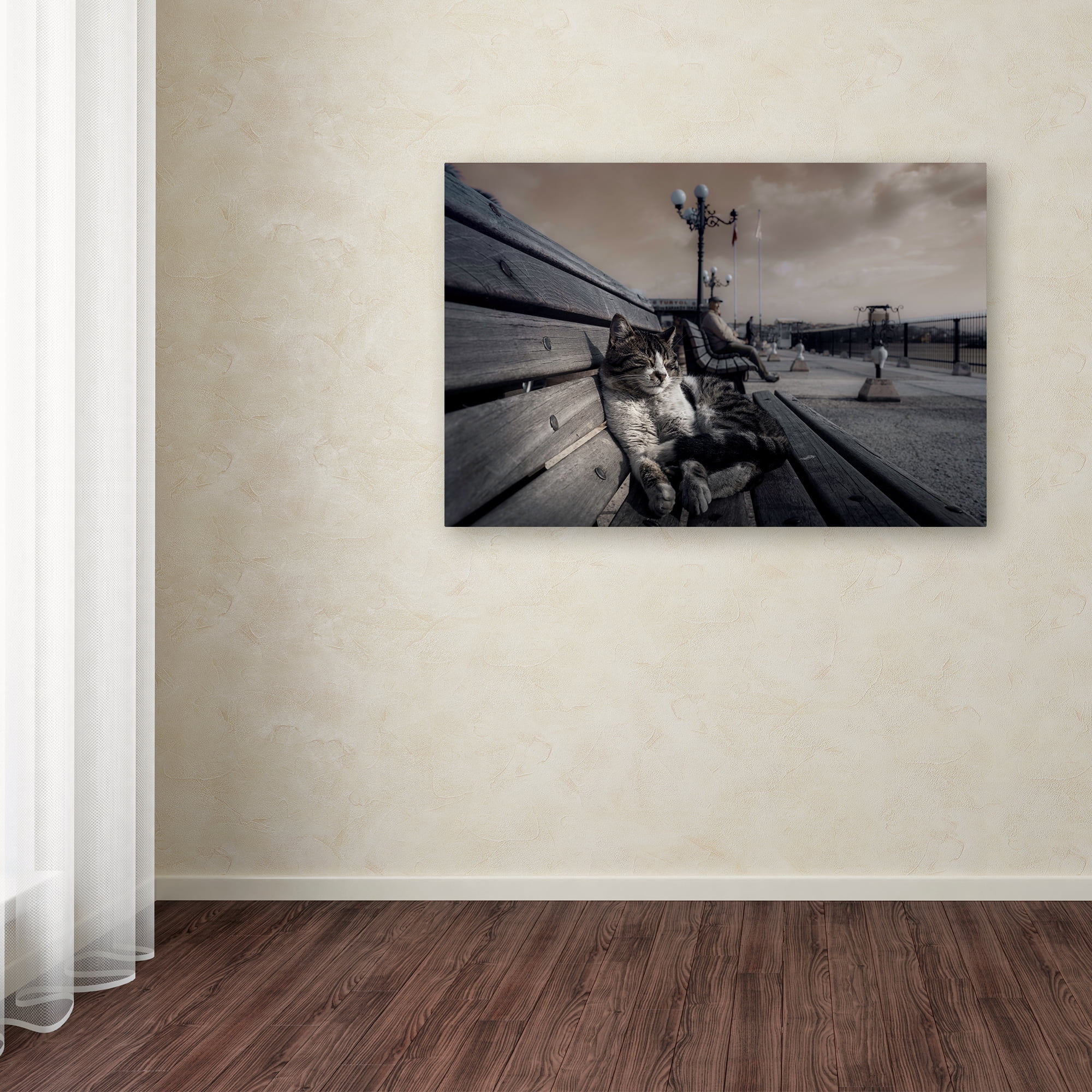 Trademark Fine Art 'Sluggard' Canvas Art by Ahmet Mustafa Arvas