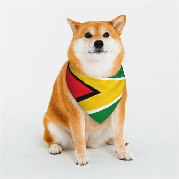 Dog Bandana Washable Headband Scarf Guyana Flag Pet Scarf Adjustable Snap Button for Dogs Cats Small
