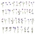 thumbnail image 1 of 80 Sheets of Floral Stickers PET Flower Stickers Making Plastic Stickers, 1 of 9
