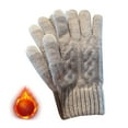 thumbnail image 1 of Knit Screen Gloves Winter Five Finger Couple Cycling Plus Fleece Student Thickened Warm Retro Woman, 1 of 4