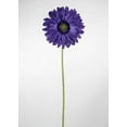 thumbnail image 4 of 12 Pieces of Silk Gerbera Daisy Purple, 4 of 4