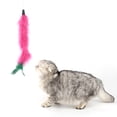 thumbnail image 4 of Cat Teaser Faux Feather - Long Cat Interactive Toy Kitten Stick Toy Pet Teaser, 4 of 5