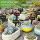 thumbnail image 5 of 100 Etiquetas Impermeables Etiquetas para Plantas - Etiquetas para Viveros de Alta Calidad - Negro 6*10cm, 5 of 5