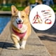 thumbnail image 3 of Billuyoard 3 Unids/Kit Correa Aleación De Zinc Arnés Ajustable Reutilizable Lavable Casa Animal Accesorios Rojo S 1x120cm Type3 NO3, 3 of 6