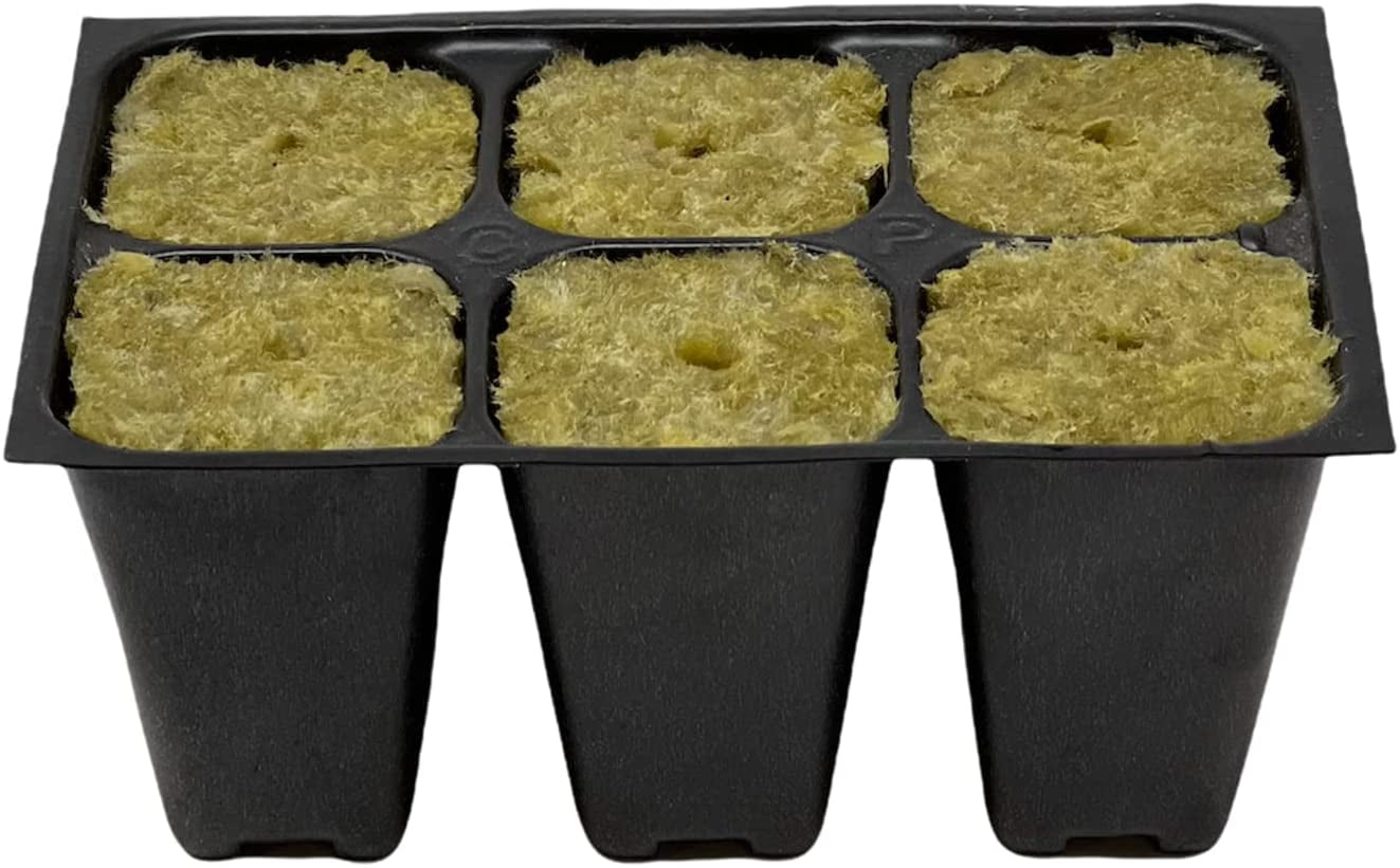 Plus 5 Plant Labels 720 Cells: 120 Trays; 6-Cells Per Tray Box of 2 Manufacturer Industry Standard Growers Supply Seedling Starter Trays 