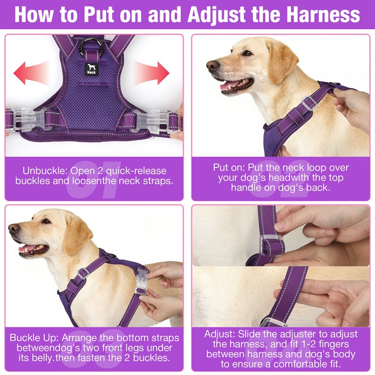 Jewyow No-Pull Dog Harness, Medium, Purple photo 6