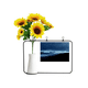 thumbnail image 1 of Ocean Sky Water Beach ciencia naturaleza foto Tarjeta de bendición de jarrón de girasol artificial, 1 of 3