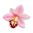 thumbnail image 2 of YIKA Festival Decorations Simulation Flower Head Plastics Flower Head Decoration DIY Handmade Fake Flower Material Simulation Flower Decoration Bouquets Decoration, 2 of 7