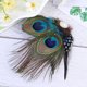 thumbnail image 3 of 2 pinzas para el pelo con plumas vintage, horquillas creativas, adorno para el pelo de moda, accesorio para bodas, espectáculos y fiestas., 3 of 7