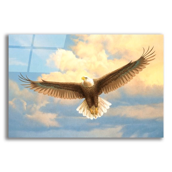 Epic Art 'Bald Eagle' by Joh Naito, Acrylic Glass Wall Art, 24"x16"